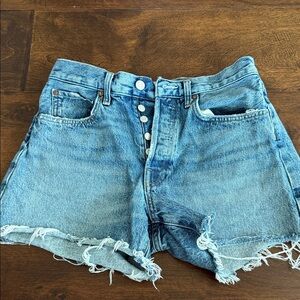 Agolde Parker Denim Jean Shorts